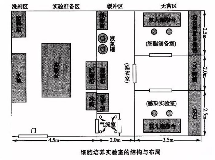 細胞培養(yǎng)實驗室的機構與布局